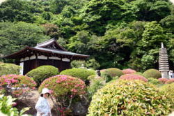 寿楽庵